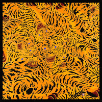 bؐ}byellow tigerbCG[^CK[